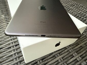 Predam Apple iPad mini 5 Wi-Fi 64GB Space Gray - 4