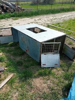 Prepravka psov - 4