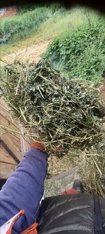 Lucerka - 4