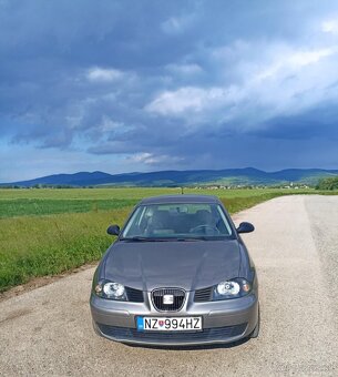 Seat Ibiza - 4