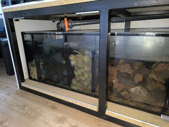 Akvárium 1000L cichlidy - 4