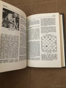 Malá encyklopedie šachu - 4