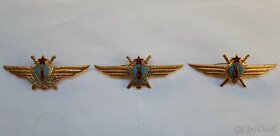 Odznaky triednosti pilotov a letovodov Vzdušných síl ZSSR.. - 4