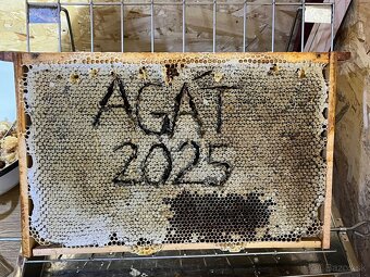 Predám včelí med - 4