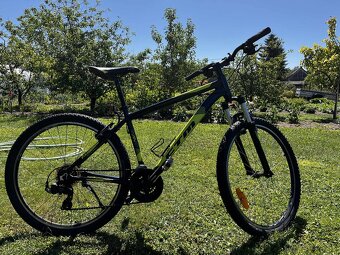 CTM Rein 1.0 2019 - 4
