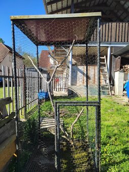 Voliera pre vtákov - 4