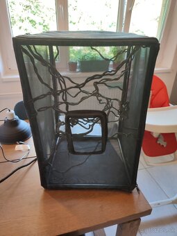 Terarium - 4