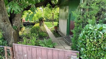 Záhrada s chatkou Šaľa - Veča - 4