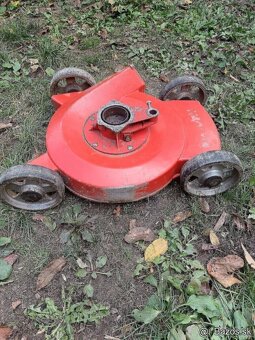 Terra vari kosačka - 4