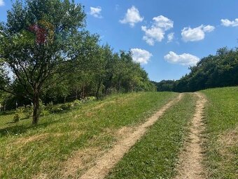 Pozemok na rekreačné využitie, Dolná Súča (Polníky), 1326 m2 - 4