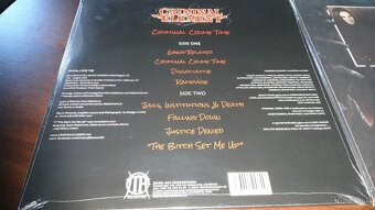 IMMOLATION + CRIMINAL ELEMENT + FLESHLESS - 4