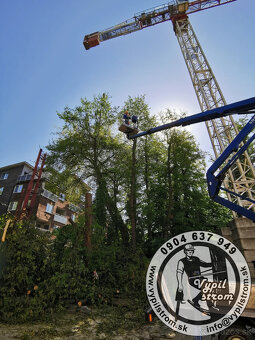 Pilenie a orezavanie stromov, kosenie a udrzba zahrad - 4