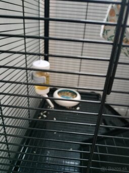 Klietka s dvomi potkaníkmi - 4