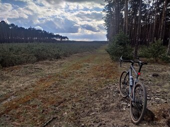 Gravel Bergamont Grandurance Expert 57 - 4