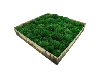 Stabilizovaný mach na výrobu vlastných obrazov - 4