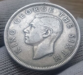 Mince Nový Zéland. - 4