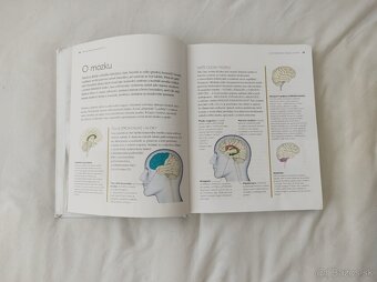 Věda zvaná rodičovství - 4