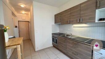 BA/RUŽINOV - Prerobený 1 izbový byt pri Miletičke na prenájo - 4