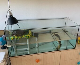 Aquarium \ Terarium - 4