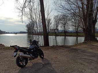 Suzuki Bandit - 4