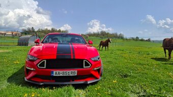 Ford Mustang GT 5.0 V8 - 4