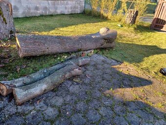 Predám orechové drevo - 4