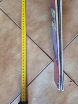 Darujem lyže a lyžiarky - 4