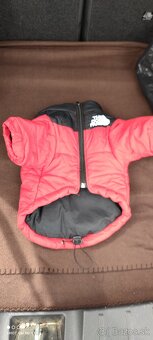 Bundička pre psíka - 4