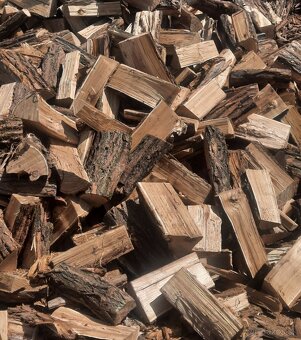 K R B O V É  DREVO tvrdé - 4