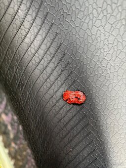 Pneumatiky letné Continental 215/55 R17 94V EcoContact - 4