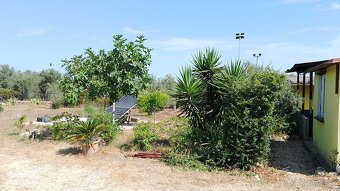 Sardínia Sassari, eco-dom s pozemkom - 4