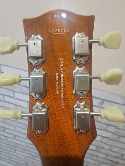 Fgn Ls30 s novym tvrdym kufrom - 4