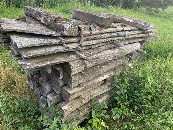 Staré drevo dub - 4