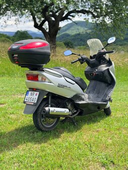 Suzuki Burgman - 4
