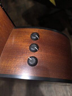 Taylor 114 CE - 4