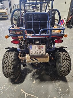 Buggie bashan 250cm³ - 4