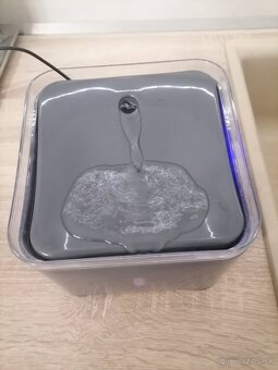 Predam fontanu na pitie pre mačku alebo psika. - 4