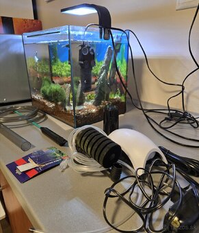 akvárium, krevetkárium 25l, zariadené - 4