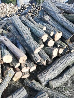 Suché tvrdé palivové drevo. NR, ZM, TO, NZ, SA - 4