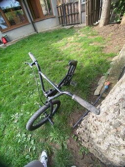 BMX Galaxy earl bird - 4