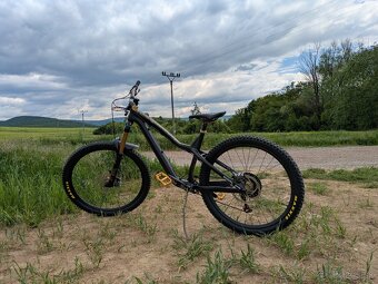 DARTMOOR Hornet Pro - 4