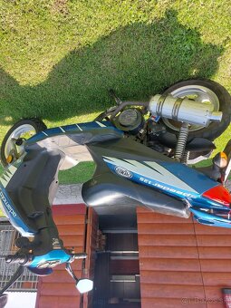 125 adamoto - 4