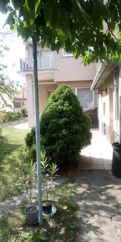 Rodinný dom Pribinova ZM - 4