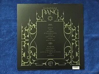 Caroline polachek - Pang (Vinyl, LP, Platňa) - 4