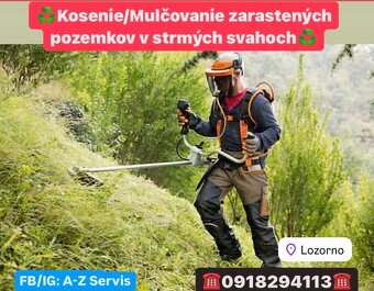 Čistenie pozemkov od náletovych drevín/Mulčovanie/Pílenie - 4