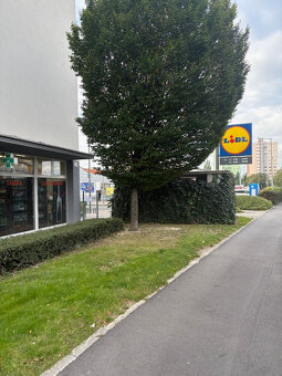 Obchodný priestor Podunajské Biskupice na ul. Podzáhradná - 4