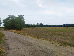 Predám nádherný pozemok pri Ortovom mlyne v obci Láb. - 4