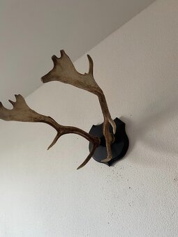 Predam polovnicke veci - 4