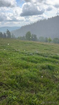 Stavebný pozemok 8000m2 v TOP prostredí Lom Nad Rimavicou - 4