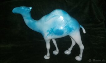 Camel - 4